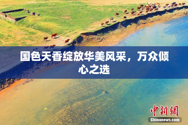 国色天香绽放华美风采，万众倾心之选