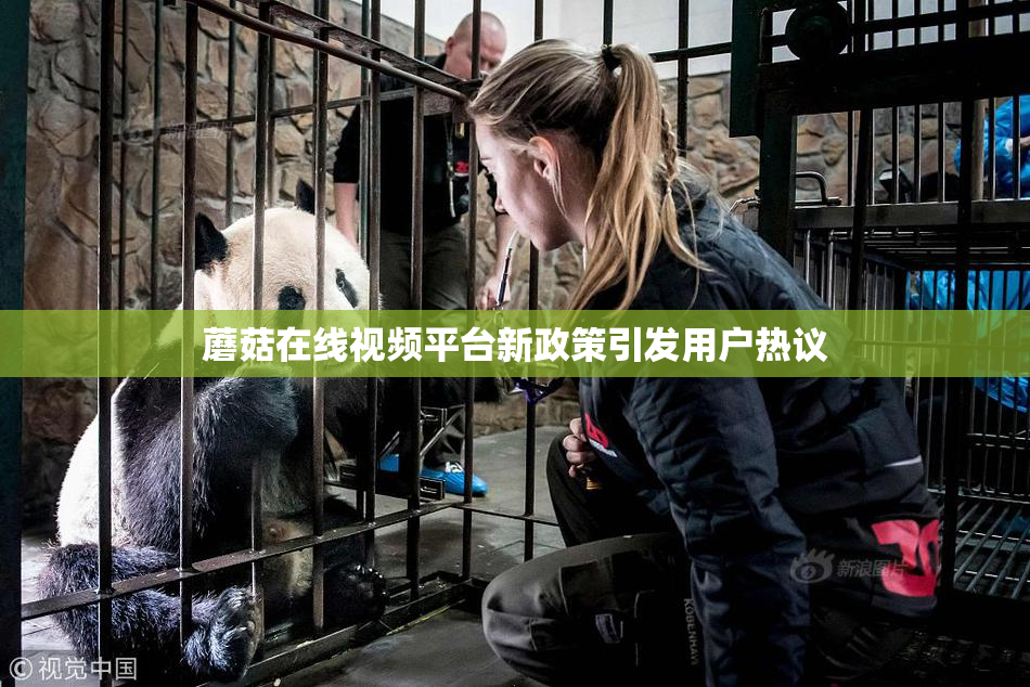 蘑菇在线视频平台新政策引发用户热议