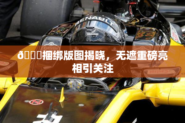🔞捆绑版图揭晓，无遮重磅亮相引关注