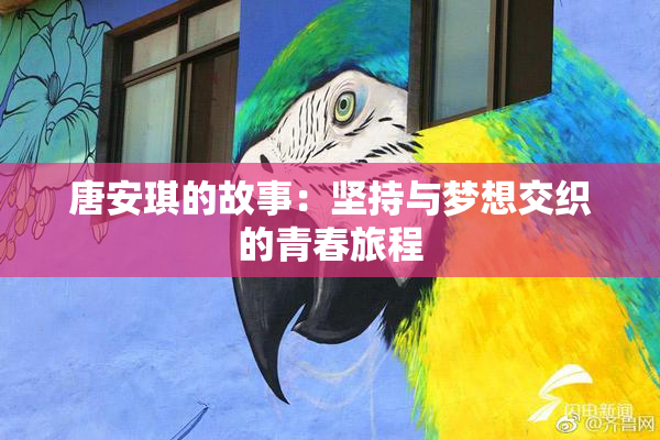 唐安琪的故事：坚持与梦想交织的青春旅程