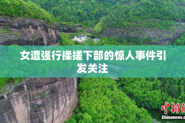 女遭强行揉搓下部的惊人事件引发关注
