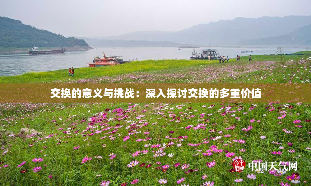 交换的意义与挑战：深入探讨交换的多重价值