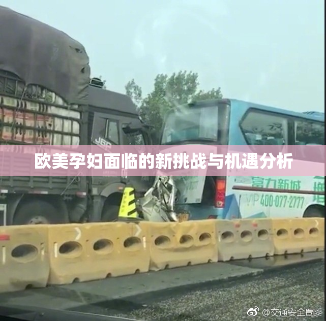 欧美孕妇面临的新挑战与机遇分析