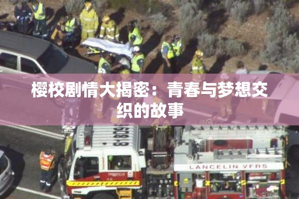 樱校剧情大揭密：青春与梦想交织的故事