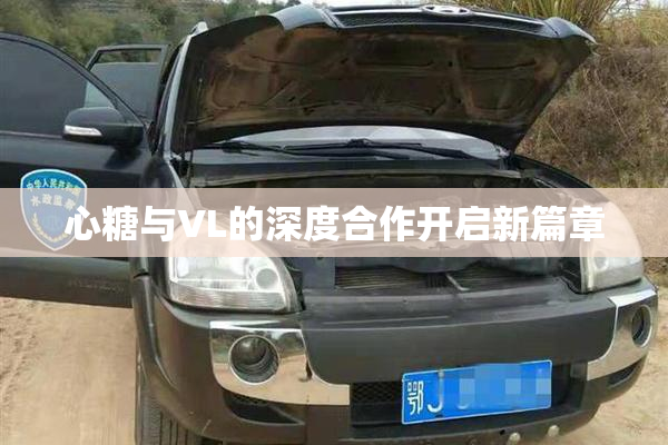 心糖与VL的深度合作开启新篇章