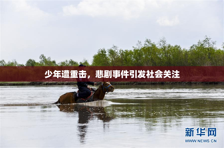 少年遭重击，悲剧事件引发社会关注