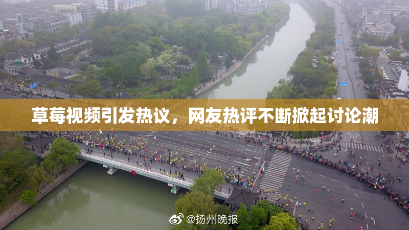 草莓视频引发热议，网友热评不断掀起讨论潮