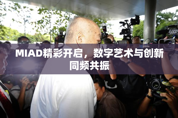 MIAD精彩开启，数字艺术与创新同频共振