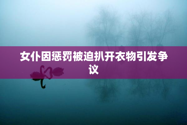 女仆因惩罚被迫扒开衣物引发争议
