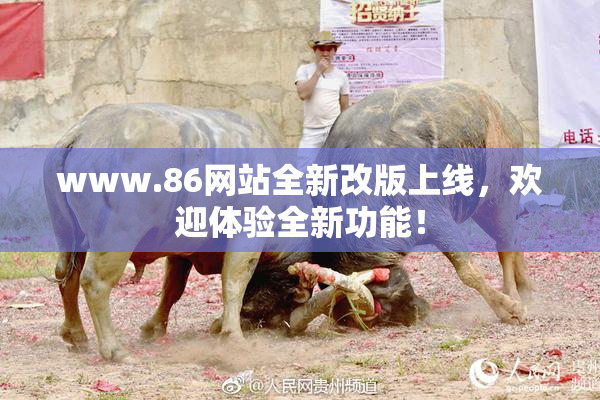 www.86网站全新改版上线，欢迎体验全新功能！