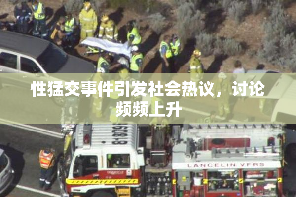 性猛交事件引发社会热议，讨论频频上升