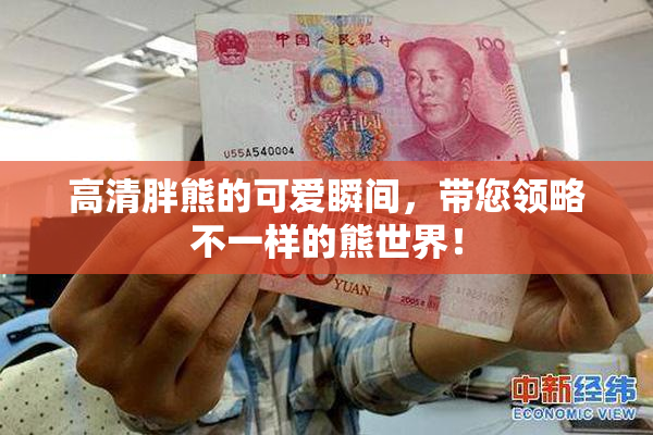 高清胖熊的可爱瞬间，带您领略不一样的熊世界！