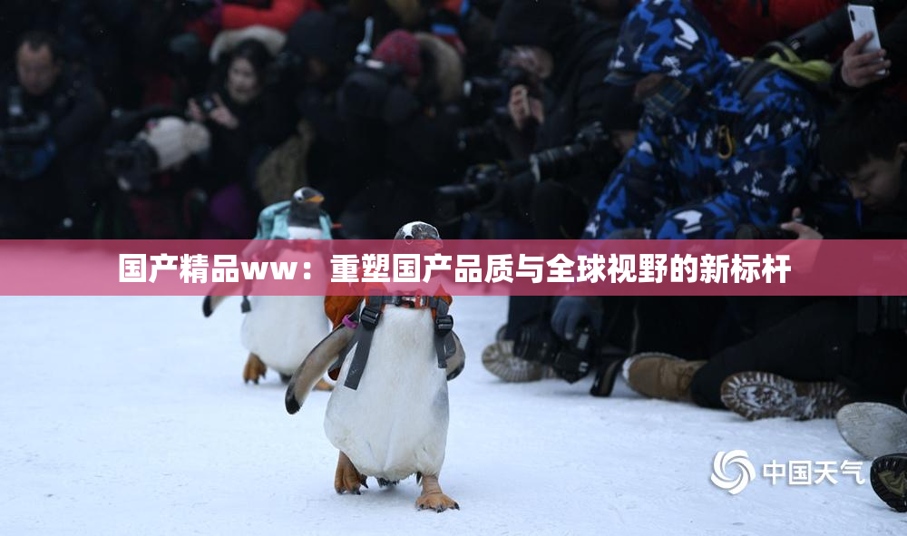 国产精品ww：重塑国产品质与全球视野的新标杆