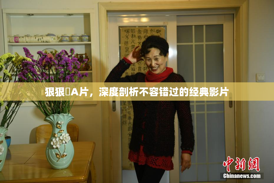 狠狠穞A片，深度剖析不容错过的经典影片