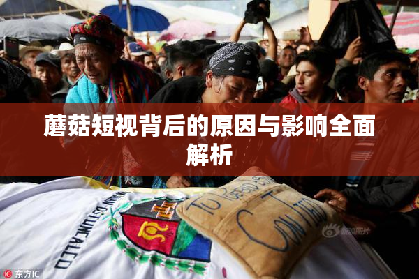 蘑菇短视背后的原因与影响全面解析