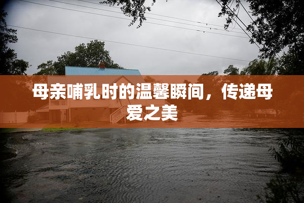 母亲哺乳时的温馨瞬间，传递母爱之美
