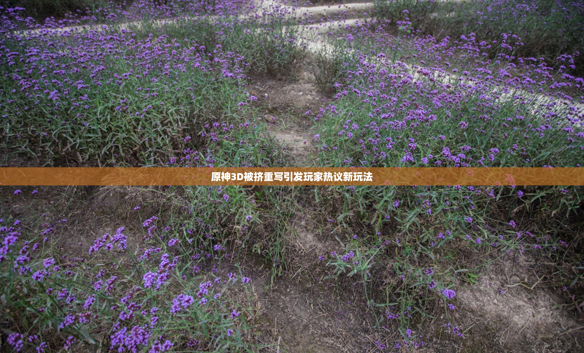 原神3D被挤重写引发玩家热议新玩法
