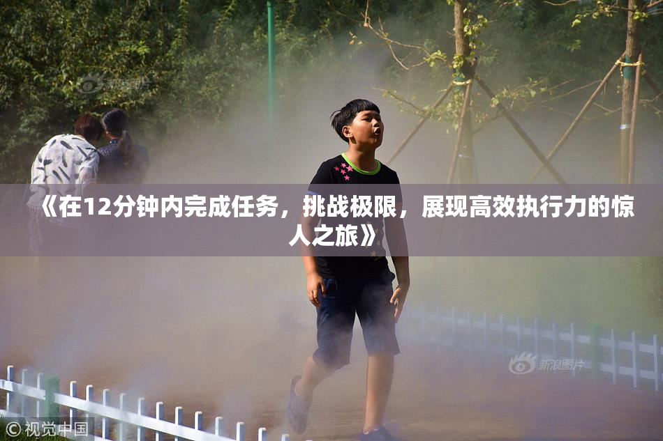 《在12分钟内完成任务，挑战极限，展现高效执行力的惊人之旅》