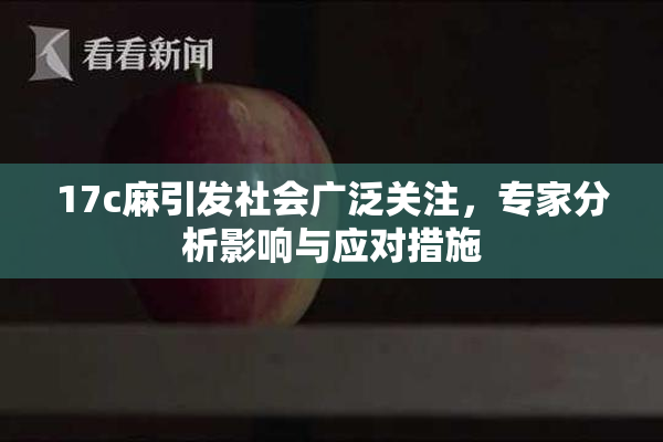 17c麻引发社会广泛关注，专家分析影响与应对措施