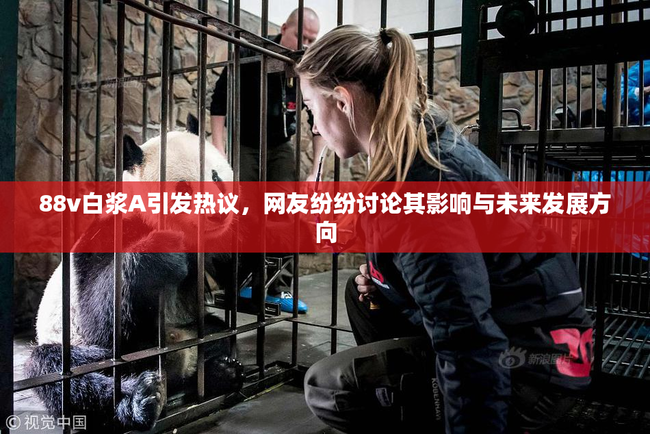 88v白浆A引发热议，网友纷纷讨论其影响与未来发展方向