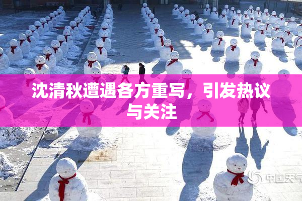 沈清秋遭遇各方重写，引发热议与关注