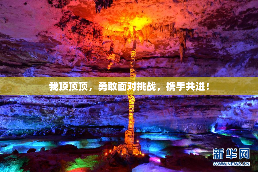 我顶顶顶，勇敢面对挑战，携手共进！