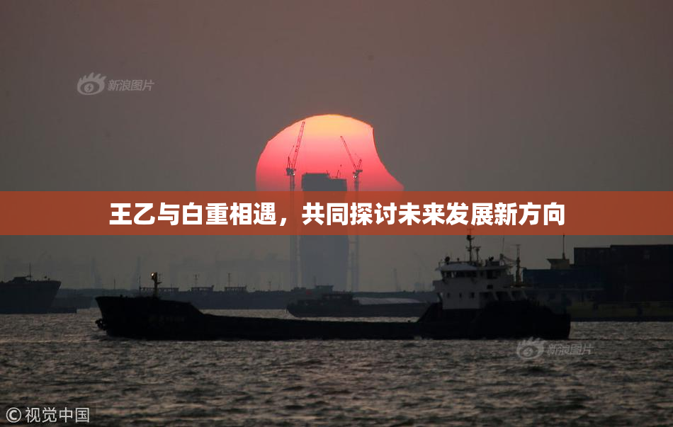 王乙与白重相遇，共同探讨未来发展新方向