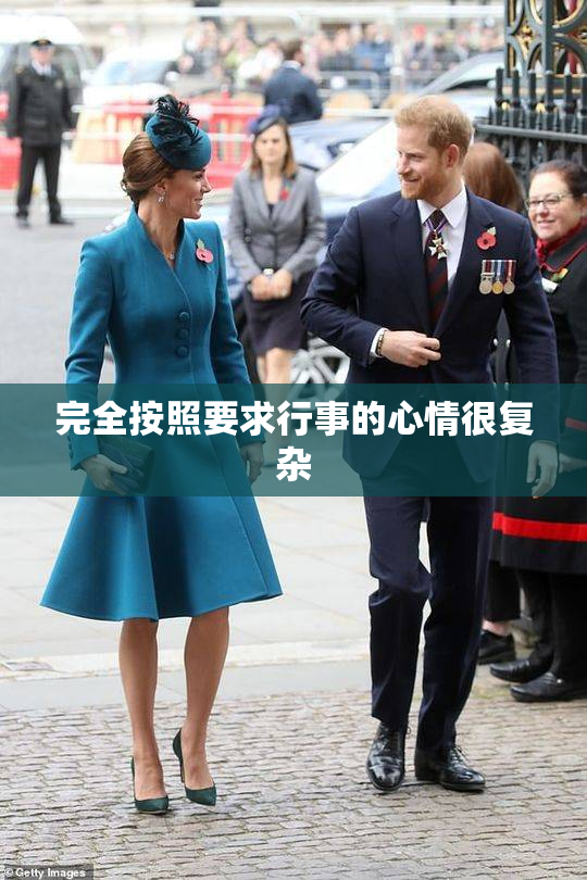 完全按照要求行事的心情很复杂