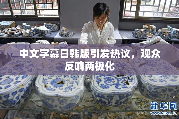 中文字幕日韩版引发热议，观众反响两极化