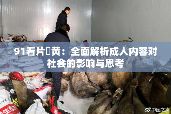 91看片婬黄：全面解析成人内容对社会的影响与思考
