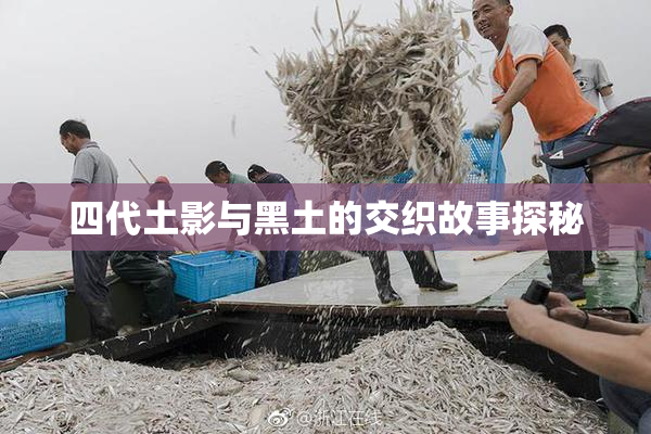 四代土影与黑土的交织故事探秘