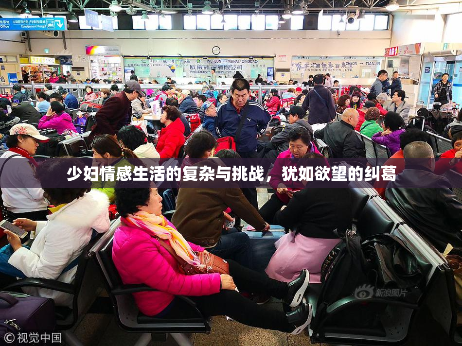 少妇情感生活的复杂与挑战，犹如欲望的纠葛