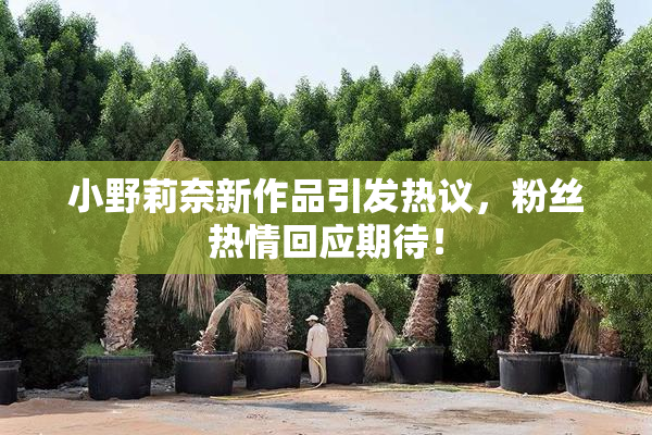 小野莉奈新作品引发热议，粉丝热情回应期待！