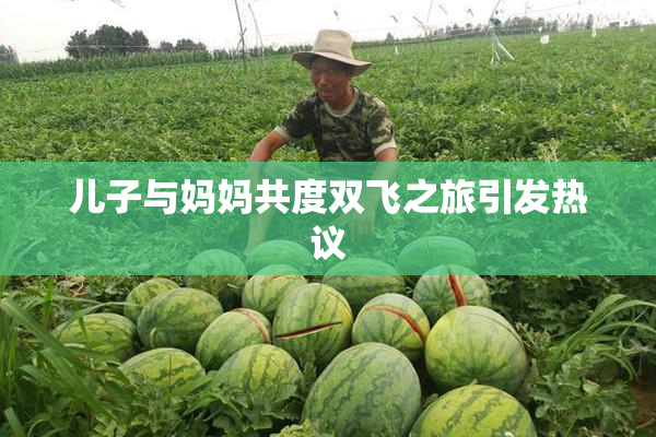 儿子与妈妈共度双飞之旅引发热议