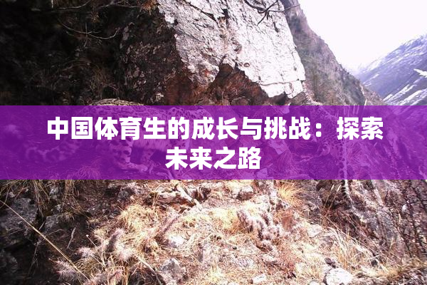 中国体育生的成长与挑战：探索未来之路
