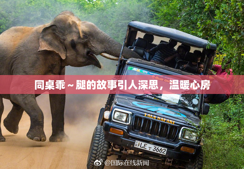 同桌乖～腿的故事引人深思，温暖心房