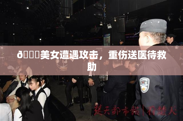 🔞美女遭遇攻击，重伤送医待救助