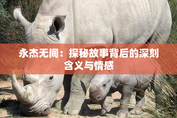 永杰无间：探秘故事背后的深刻含义与情感