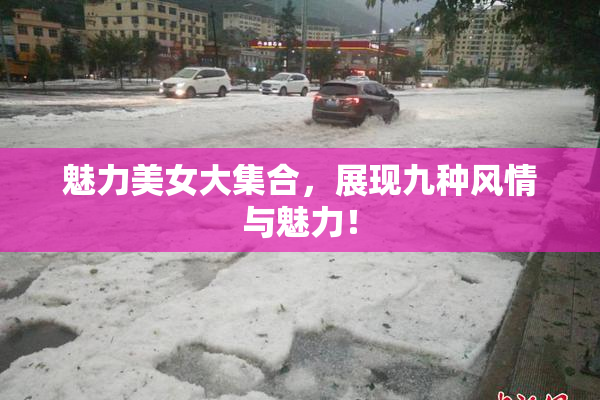 魅力美女大集合，展现九种风情与魅力！