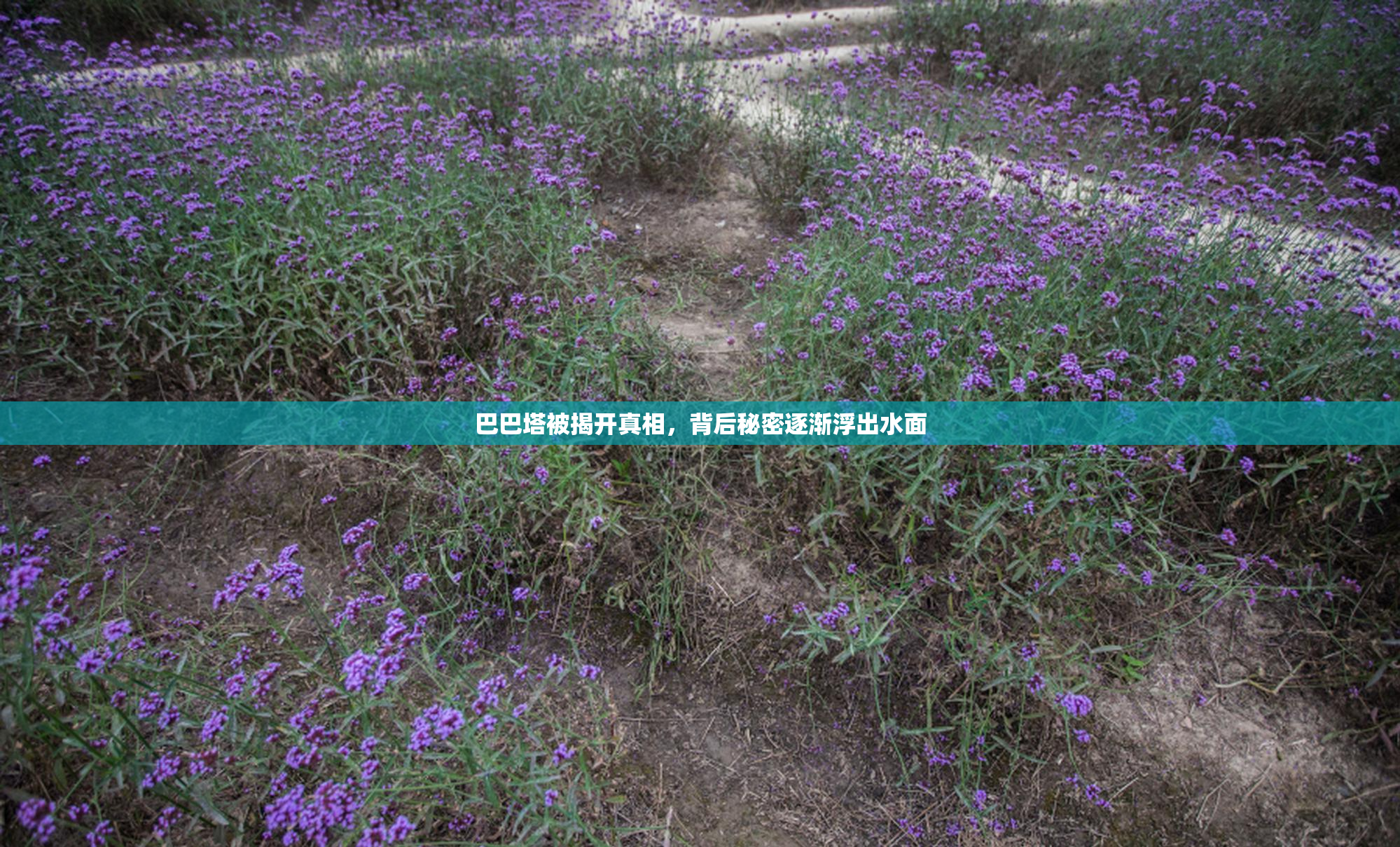 巴巴塔被揭开真相，背后秘密逐渐浮出水面