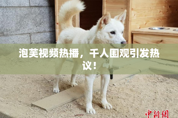 泡芙视频热播，千人围观引发热议！
