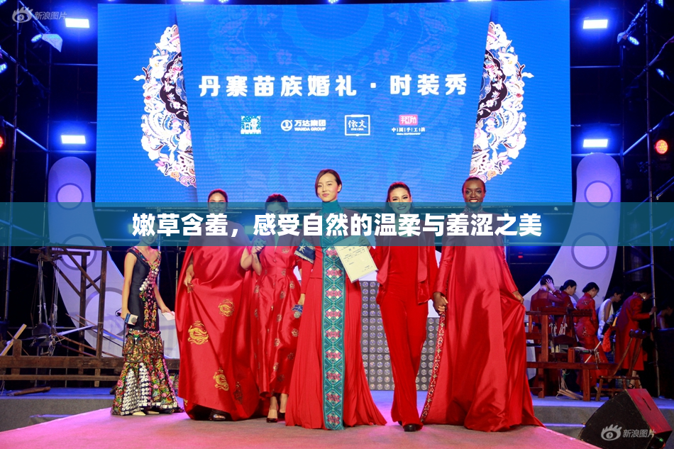 嫩草含羞，感受自然的温柔与羞涩之美