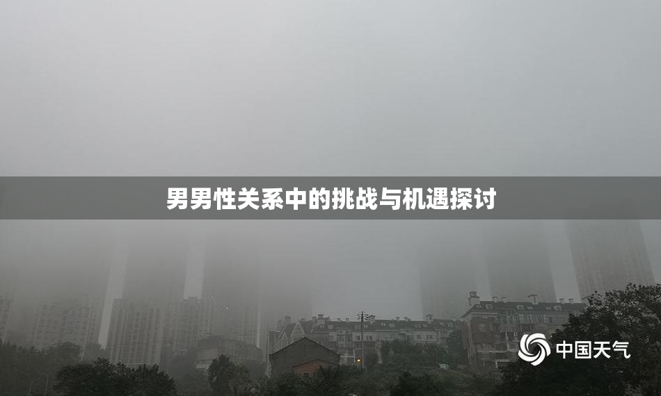 男男性关系中的挑战与机遇探讨