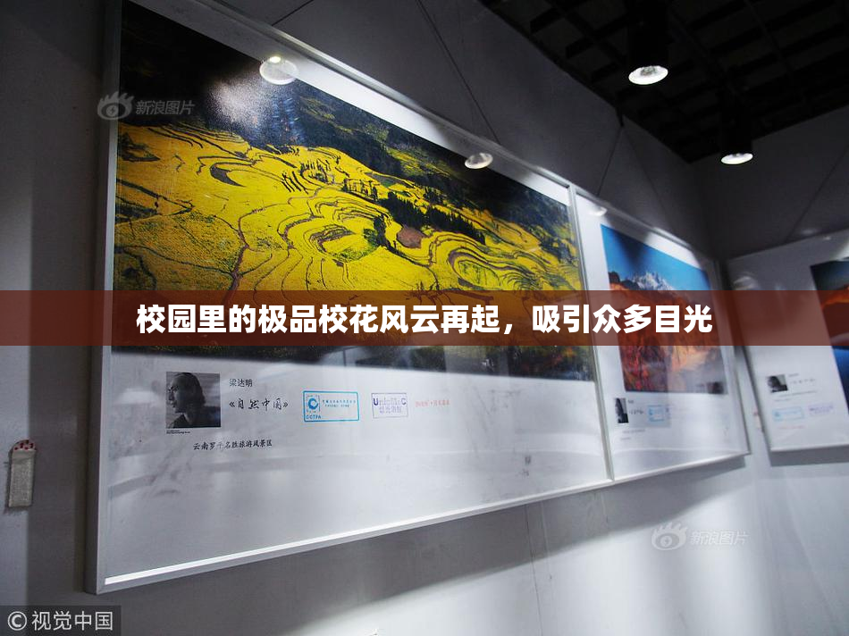 校园里的极品校花风云再起，吸引众多目光
