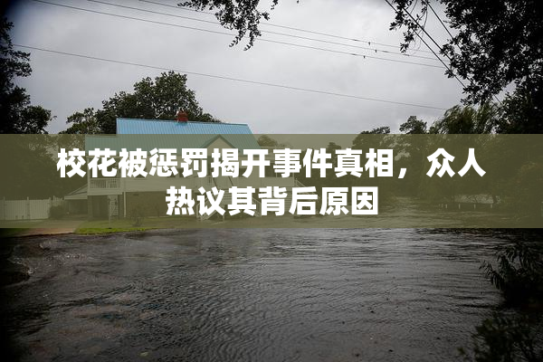 校花被惩罚揭开事件真相，众人热议其背后原因
