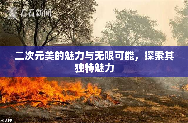 二次元美的魅力与无限可能，探索其独特魅力