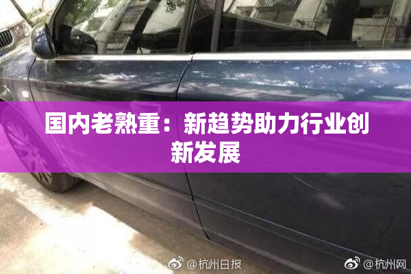 国内老熟重：新趋势助力行业创新发展