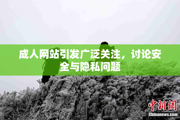 成人网站引发广泛关注，讨论安全与隐私问题
