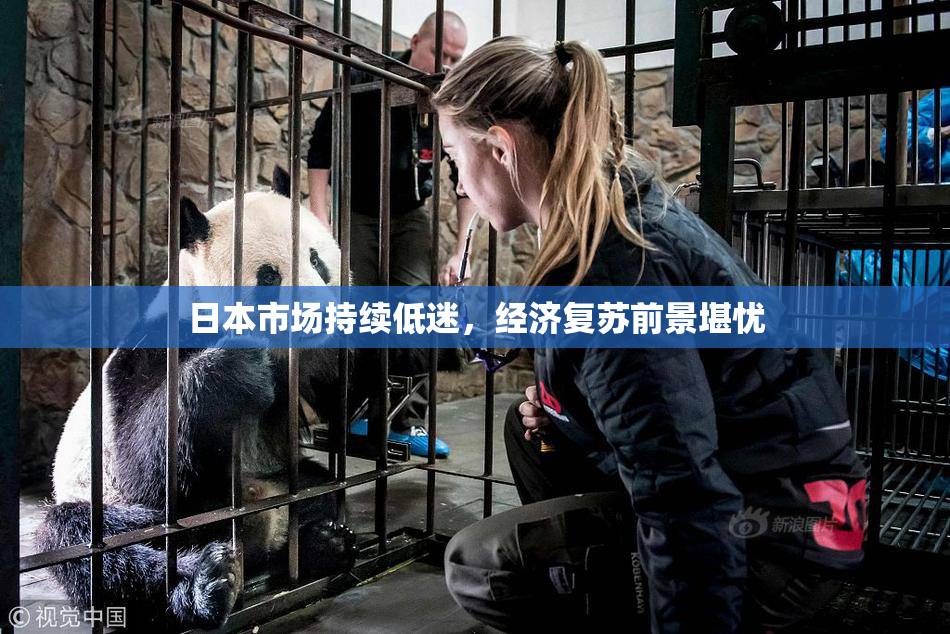 日本市场持续低迷，经济复苏前景堪忧