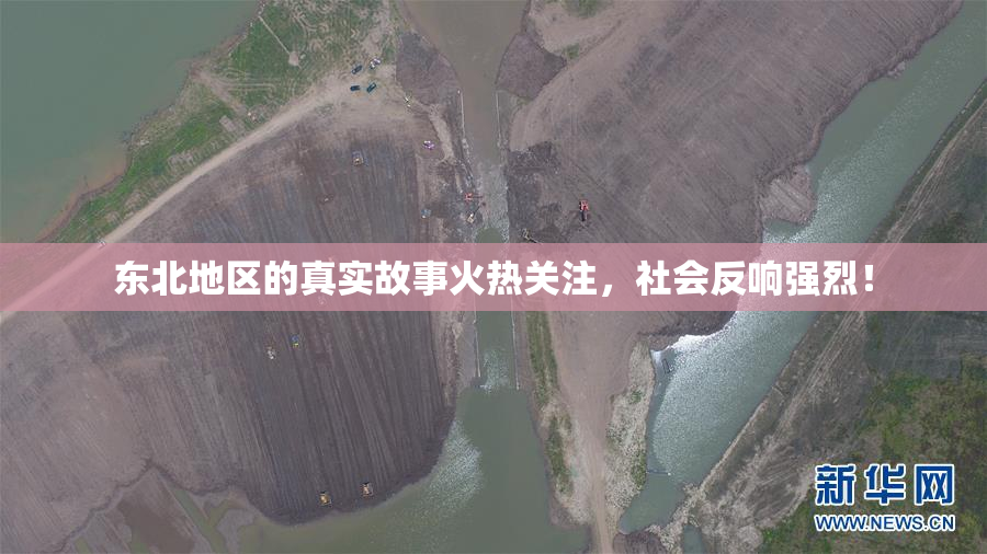 东北地区的真实故事火热关注，社会反响强烈！